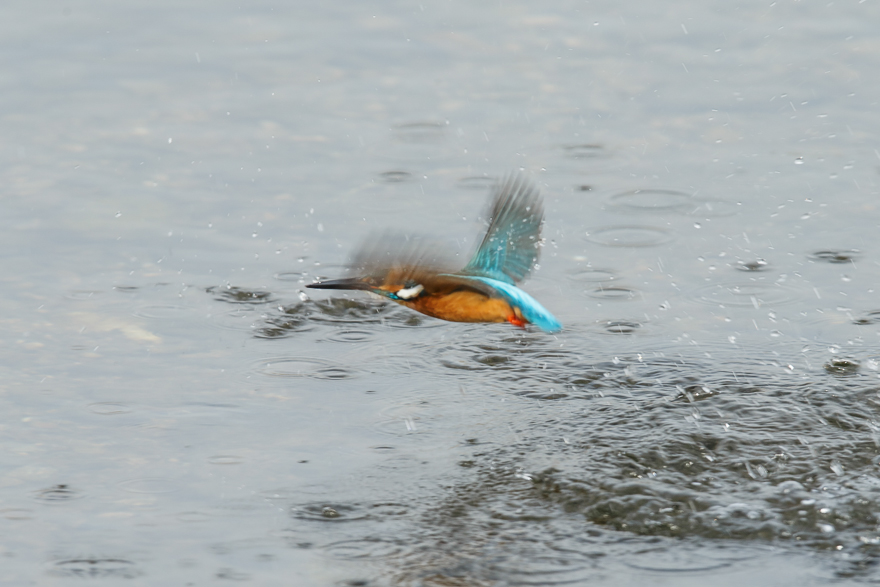 20140125-_S5P0413.jpg