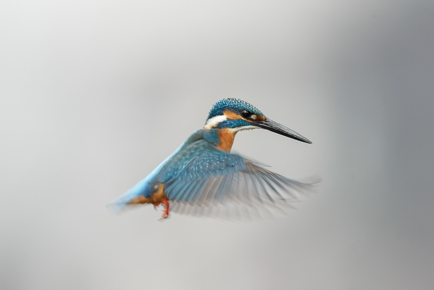 20140125-_S5P0500.jpg