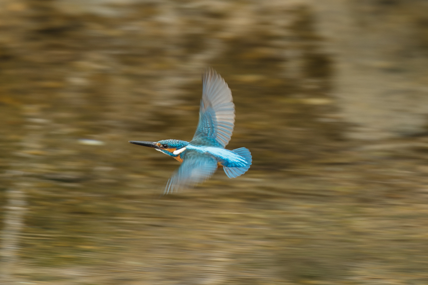 20140125-_S5P0576.jpg