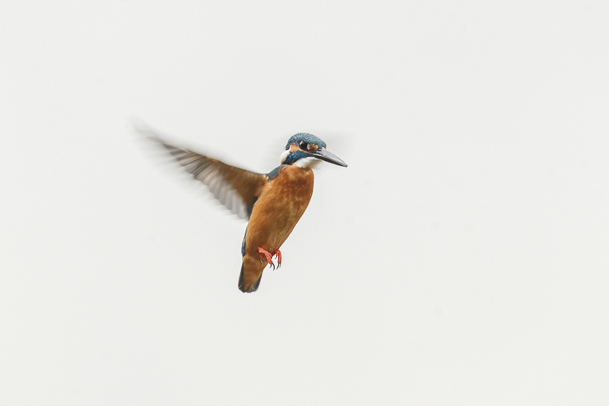 20140125-_S5P0603.jpg