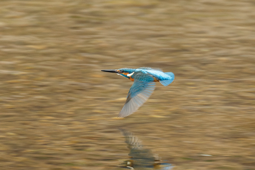 20140125-_S5P0769.jpg