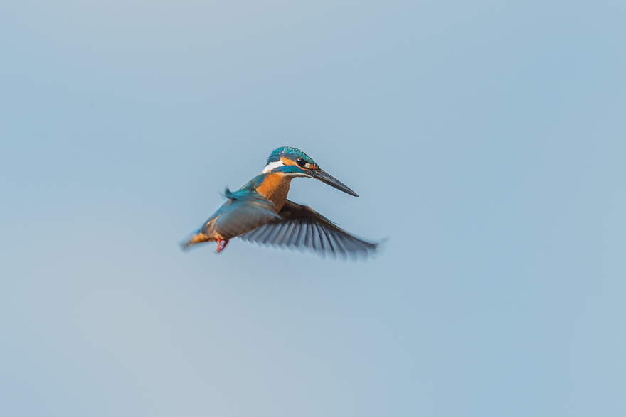 20140126-_S5P0239.jpg