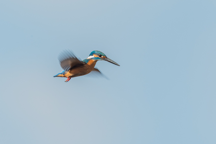 20140126-_S5P0259.jpg