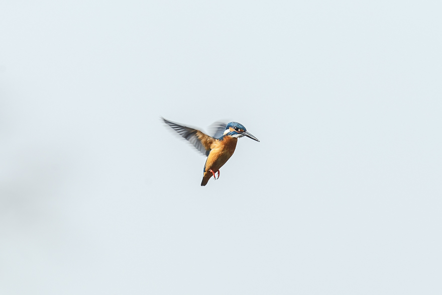 20140126-_S5P0411.jpg