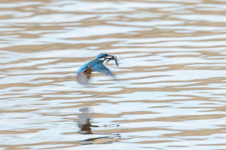 20140126-_S5P0460.jpg