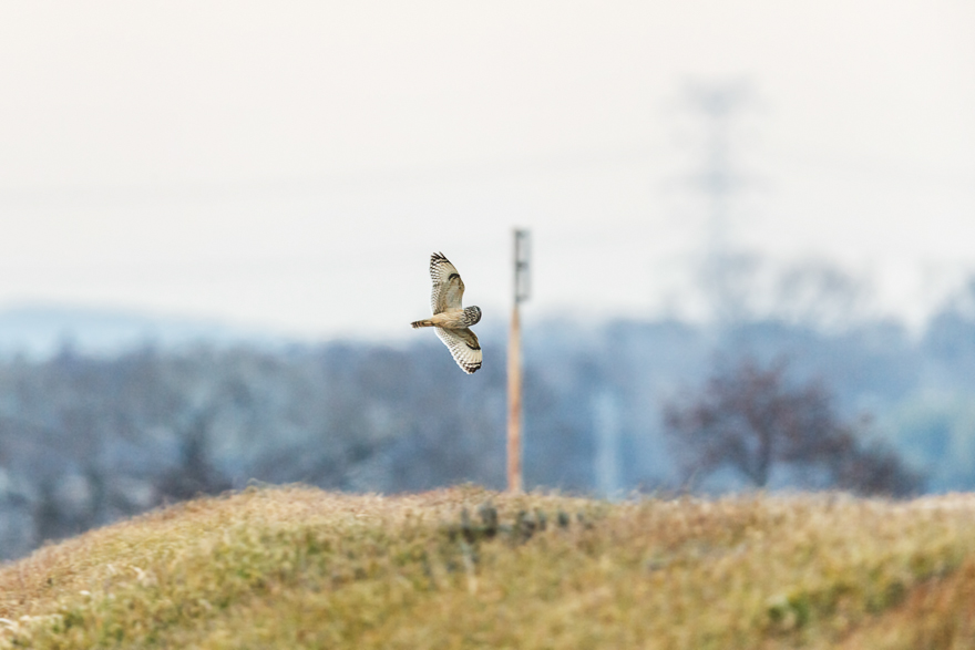 20140129-_S5P0013.jpg