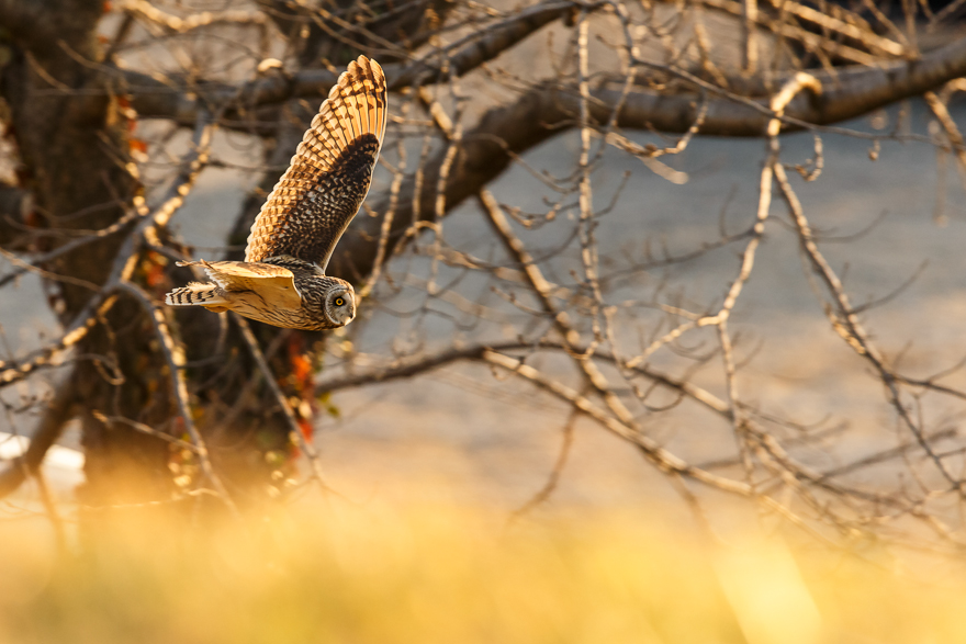 20140207-_S5P0755.jpg