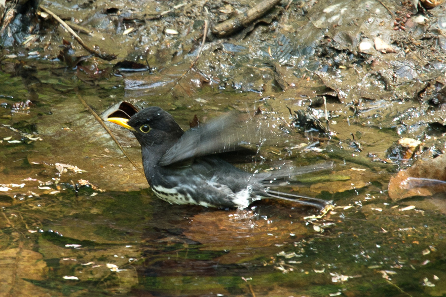 _DSC6435.jpg