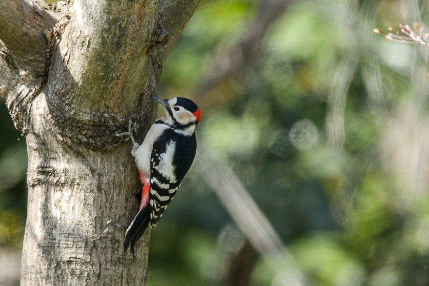 _DSC8054.jpg