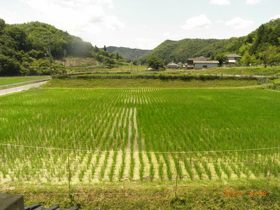 やっと半分