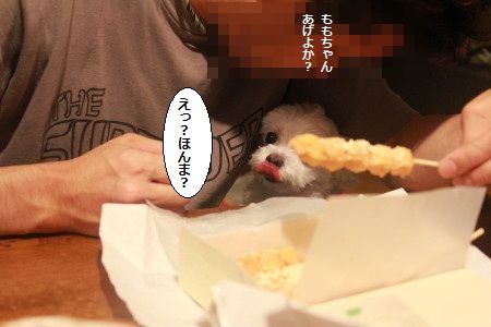 IMG_6985_1honnma~809122