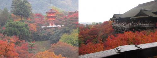 IMG_0175_1sugoihito111022299.jpg