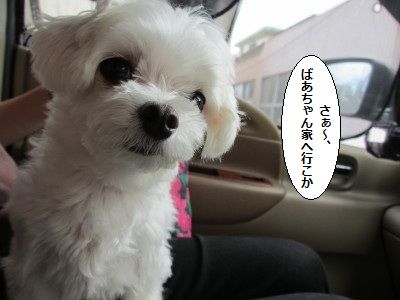 IMG_2508_1iku80522.jpg