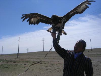 HorseRidinginMongolia3