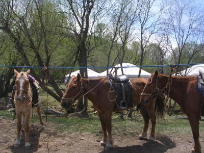 HorseRidinginMongolia11