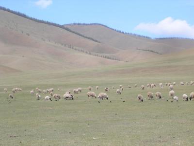 HorseRidinginMongolia10