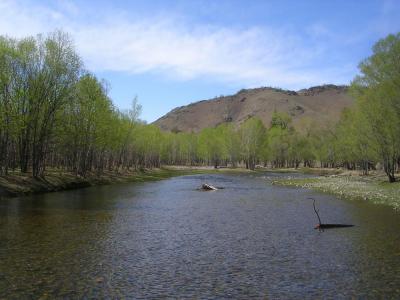 HorseRidinginMongolia8