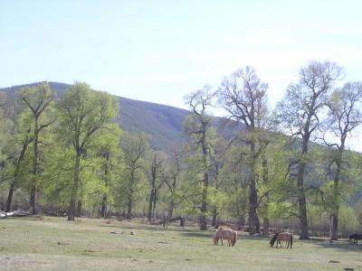 HorseRidinginMongolia9