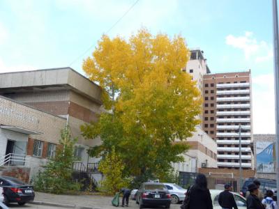 Autumn12_2