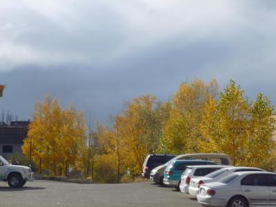 Autumn12_3