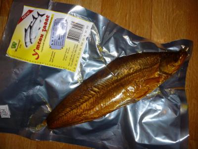 FishinMongolia