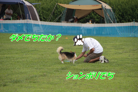 だって~