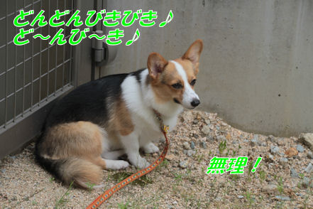バッカじゃないの