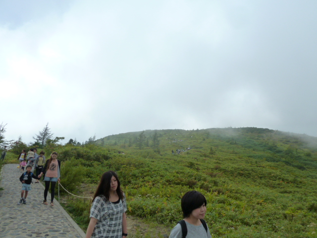 P1020570.jpg