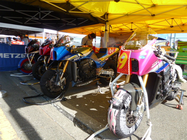 P1020894.jpg
