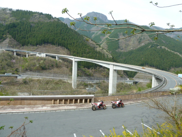 P281.jpg