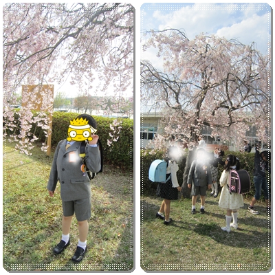 入学