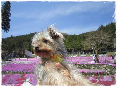 公園7
