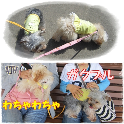 公園10