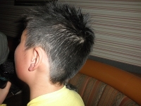 PC302325.jpg