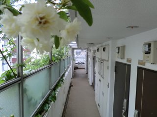 Cimg0202 (2)_short