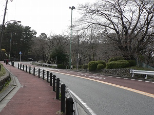 東京 009