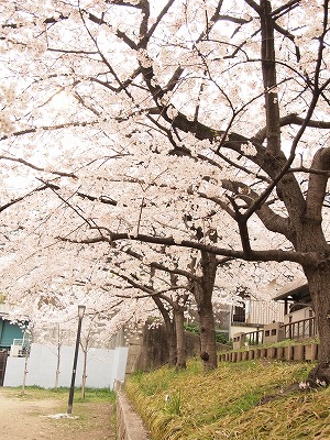 P1010209.jpg