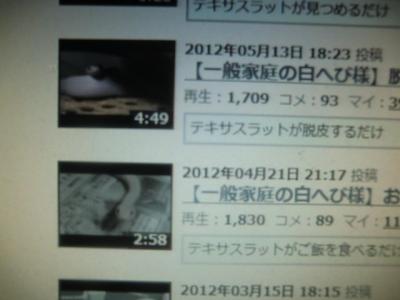 CIMG1622_convert_20120818234142.jpg
