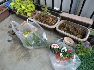CIMG1820_convert_20121018170151.jpg