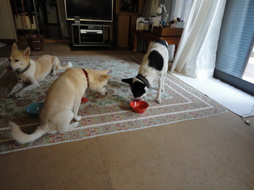 DSC03152.jpg