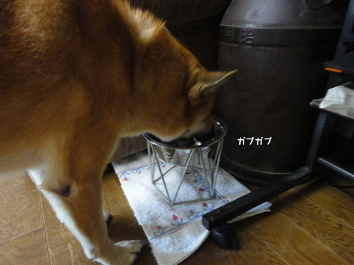 DSC03214.jpg