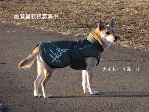 DSC03638.jpg
