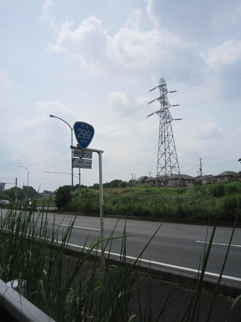 299号