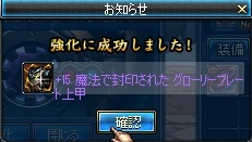 強化成功!