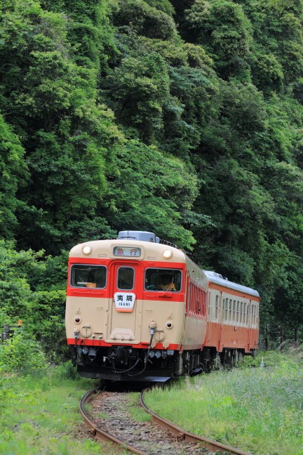 IMG_8755s.jpg