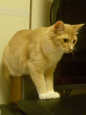 mika0111.jpg