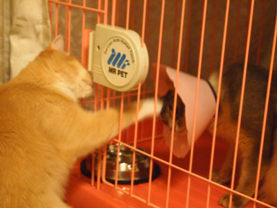 mika0155.jpg