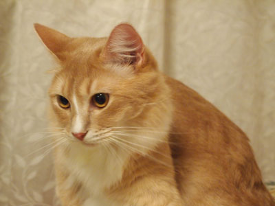 mika0177.jpg