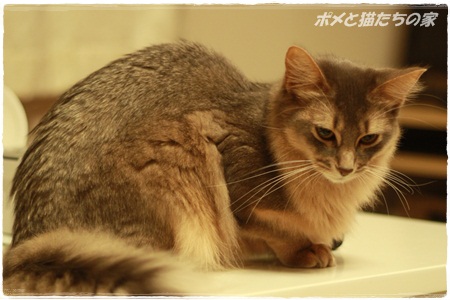 mika0203.jpg