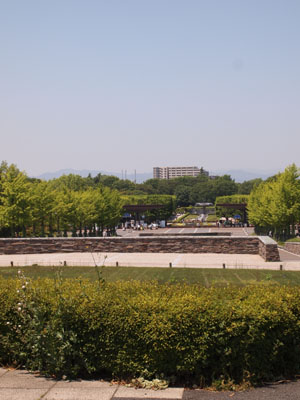 moca0930.jpg